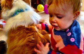 June - Journal Entries