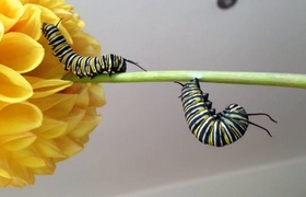 March - Journal Entries