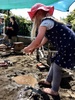 A lovely sunny day, a great day for water play at kpc. Olive made a angel from pegs and fabric and got involved in the volcano and making potions in the mud puddle. Iris enjoyed the water so much so climbed in! At the end olive dressed up as an elephant, packed a suitcase and was off to Auckland!