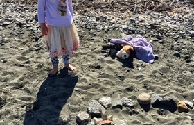 October - Journal Entries