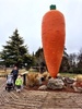 A dream came true for Olive as we saw the big carrot once again in Ohakune.