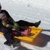 Olive Goes Sledding
