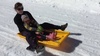 Olive Goes Sledding