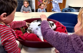 August - Journal Entries