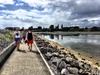 We wandered over the old railway bridge to Tauranga to visit the lovely Hairy Maclary statues and playground.