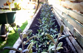 February - Journal Entries