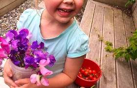 February - Journal Entries