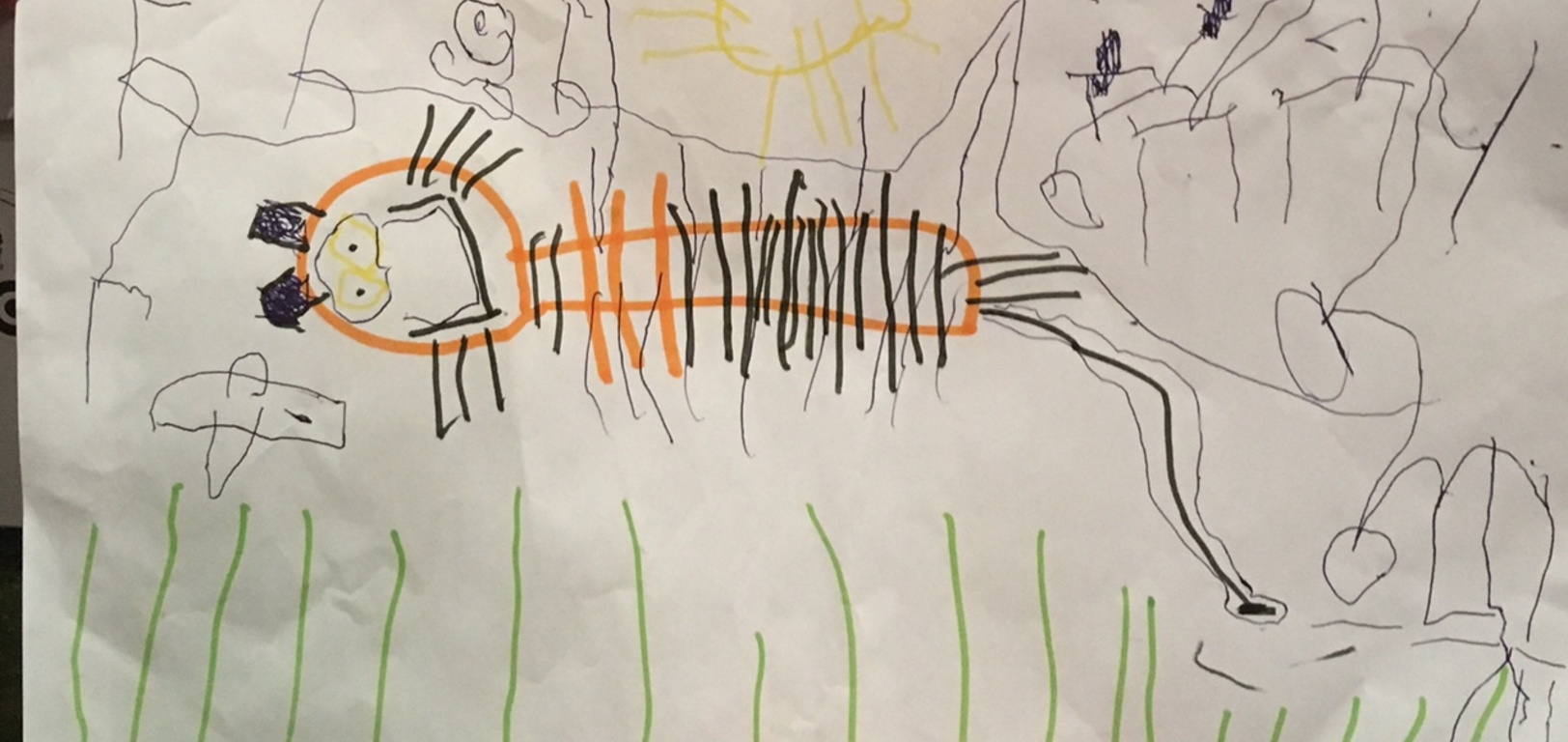 Olives latest creations. A tiger in the grass and a zebra. She has started to use colours for different elements which is pretty exciting.