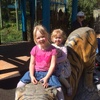More zoo photos