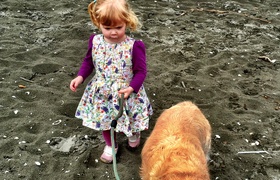 October - Journal Entries