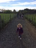 First stop on our tour to Auckland. Ohakune and we checked out the playground and its developments and a path to our village with nan and grandad.