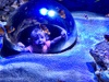 We visited Sea Life and the girls absolutely loved it. Aquariums and a seal show.