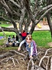 Caught up with nat & poppy, Anna & Eva, Mia for a play and park. The trees were the highlight. Being baby koalas.