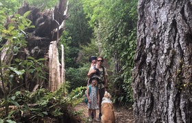 December - Journal Entries