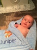 Juniper has turned a corner and is enjoying bath time! Generally into everything a lot more, rolling, talking, grabbing for everything even lamb and turkey over past few days.