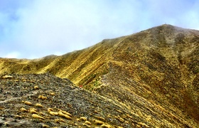 February - Journal Entries