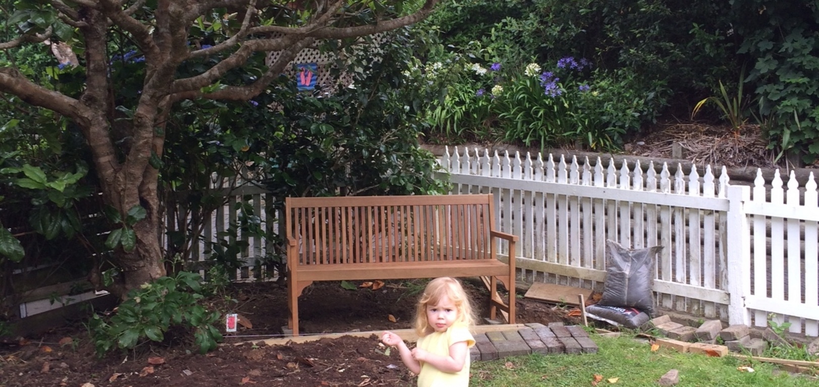 Our Christmas bench is getting a home! Well just getting started! Clearing up for a treehouse too.