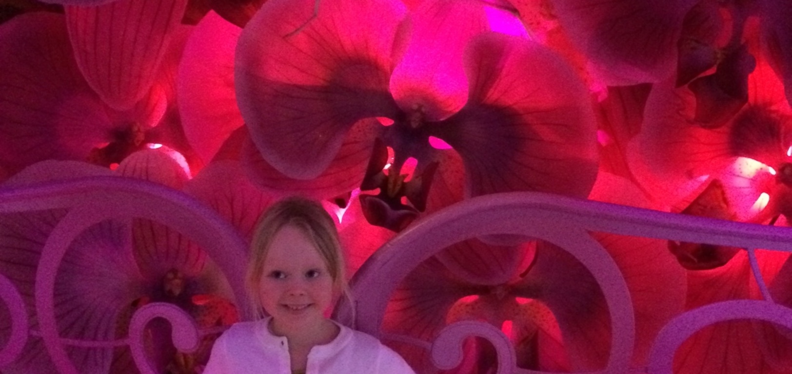 We went to the weta workshop big exhibition at Te papa over the long weekend. I think it didn't help Iris's love of bugs (she didn't really like the huge models of insects) olive however thought it was great.