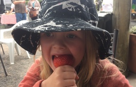 November - Journal Entries