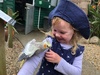 Parrot Place in Kerikeri was well worth the visit. Iris got right in there feeding and holding all the birds she could. Olive was much more reserved - fed a few tentative peanuts and nearly got up the courage to hold one.