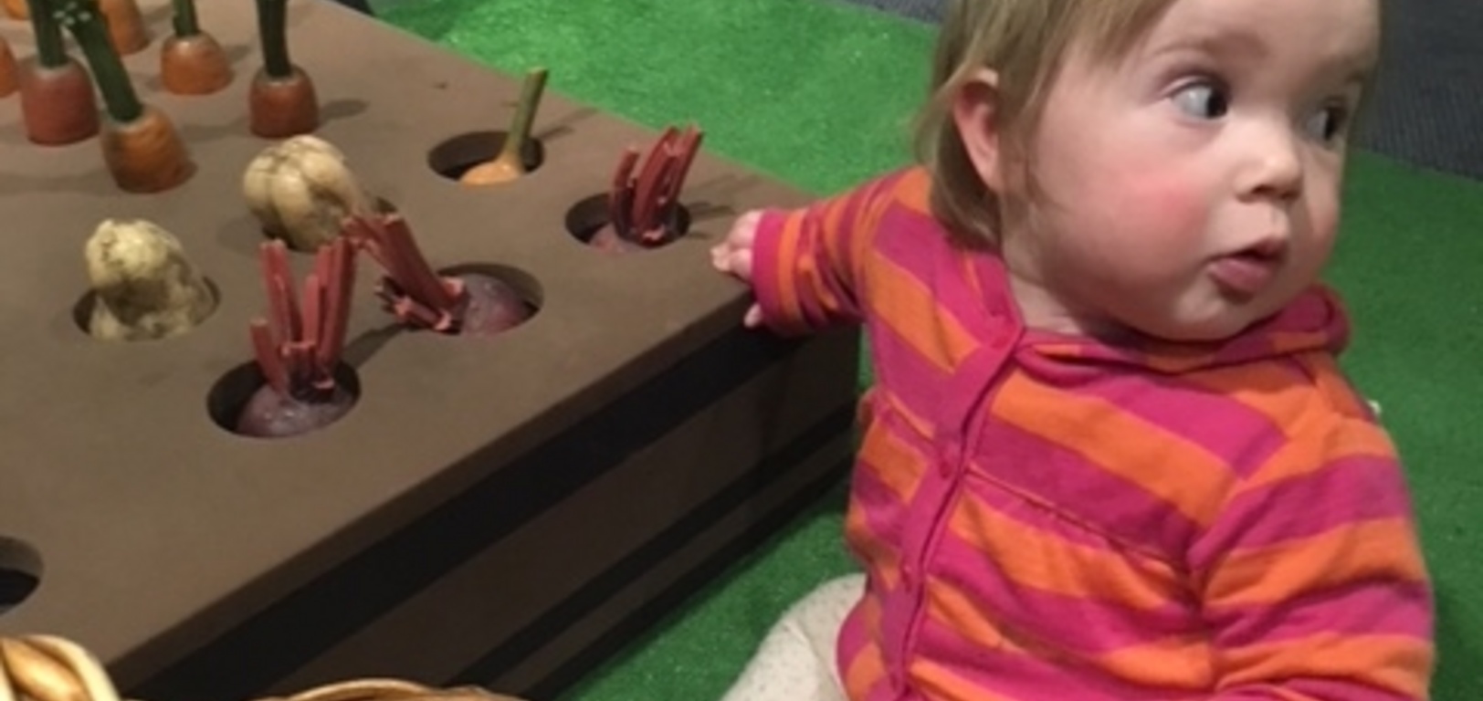 Kpc excursion to story place. One minute Juni pulling the vege, the next in them! They both had fun, iris enjoyed playing with Chloe