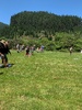 Rimutaka Forest Park park picnic, so hot!