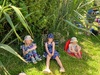 Rimutaka Forest Park park picnic, so hot!