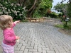 This is pretty big news in the peck household!!! We finally have completed driveway!! It's only taken oh 7 years!