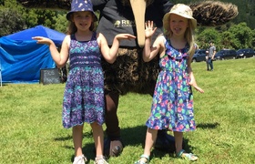 December - Journal Entries