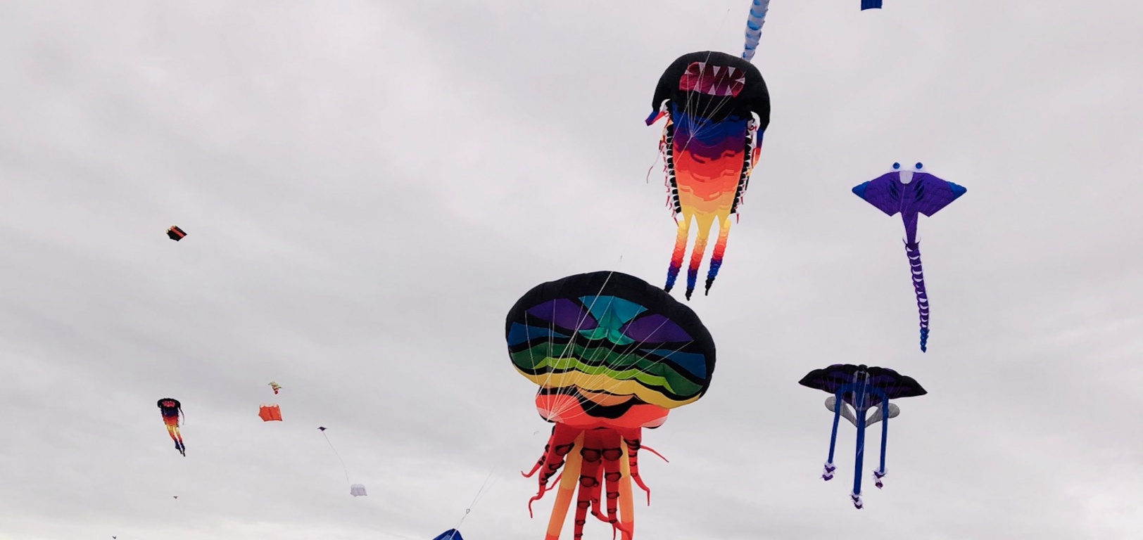 We ventured out to Otaki for their annual kite festival. Amazing array of kites. Definitely worth a visit.