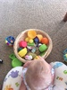 Juni's sitting is slowly coming along still needs a support but enjoying the basket of stuff! She is loving the juicy fruit! Sucking all the juices from them.