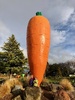 The giant carrot! Always a win with the girls. The new playground next to it is great too.