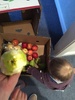 This is about as close to supermarket shopping our kids get, home delivery. While I was packing it away, Juni ate a good chunk of pear! Cheeky squirrel. Iris in on the action too.