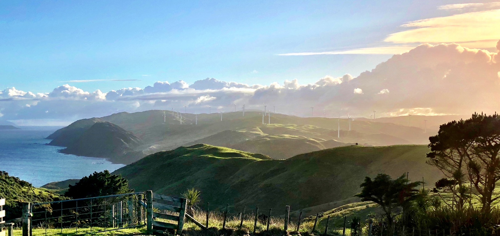 One day a year they open up the West Wind Farm near Makara for a running race. I competed in the 18k XTERRA West Wind Farm long race this year and came 7th overall. Such a great venue for a run and the weather fined up nicely!