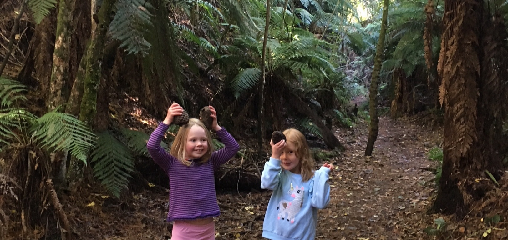 Taupo bush walk, it was good to get out, iris wasn't really into walking but Tom worked really hard to keep jollying her along, there were a few tears and birdlife didn't stick around for long! The training begins for the orongorongas in December. Iris has a long way to go... olive and Milla were great. Archie was a trooper and Juni slept. 4/5 ain't bad!