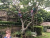 Treehouse cost per play is coming down, cuzzie fun afternoon as school was out today!