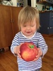 Super sized Apple
