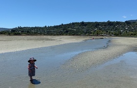Sunny Nelson Camping