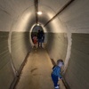 A family walk up Wright's hill and an explore of the tunnels.