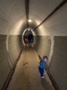 A family walk up Wright's hill and an explore of the tunnels.