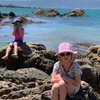 A very windy visit to scorching bay, so no swimming but rock pool exploring and ice cream.