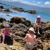 A very windy visit to scorching bay, so no swimming but rock pool exploring and ice cream.