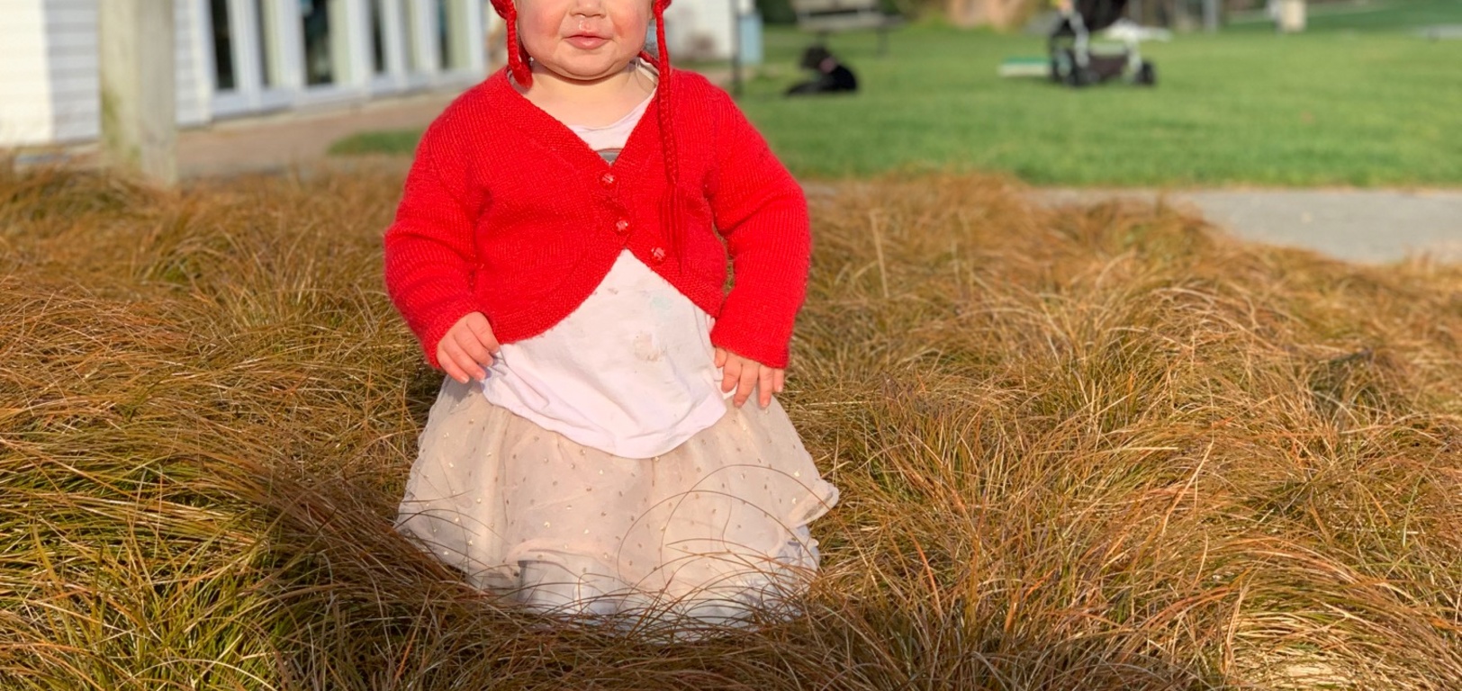 A bit mischievous this morning... very keen on walking everywhere and sometimes backwards. Very slowwwewwww