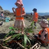 Tamariki Nui: Makara Beach building and cooking fire fun