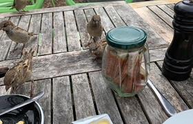 March - Journal Entries