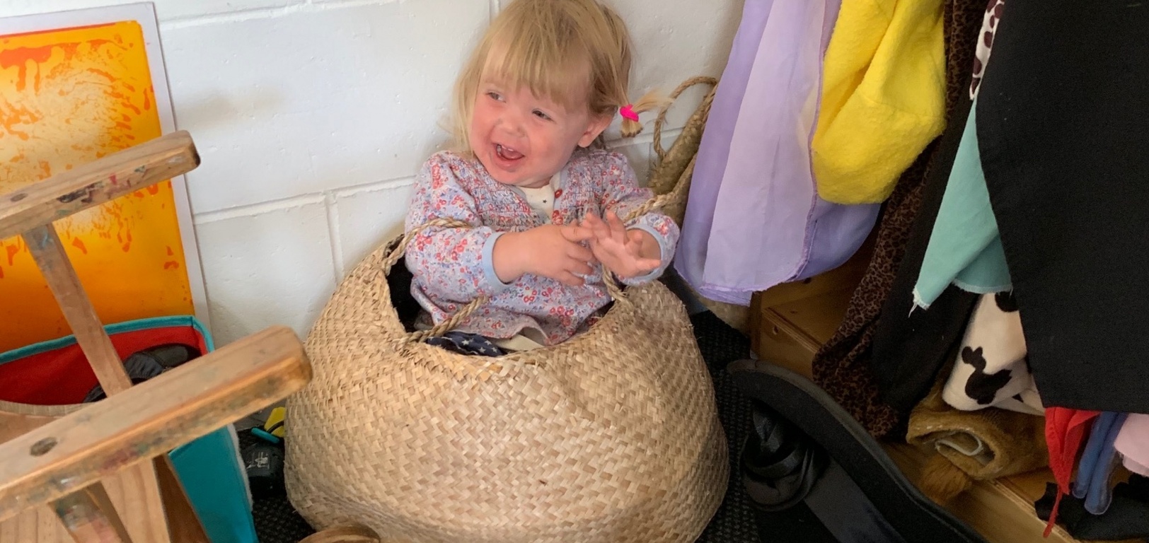 Found juni in a basket