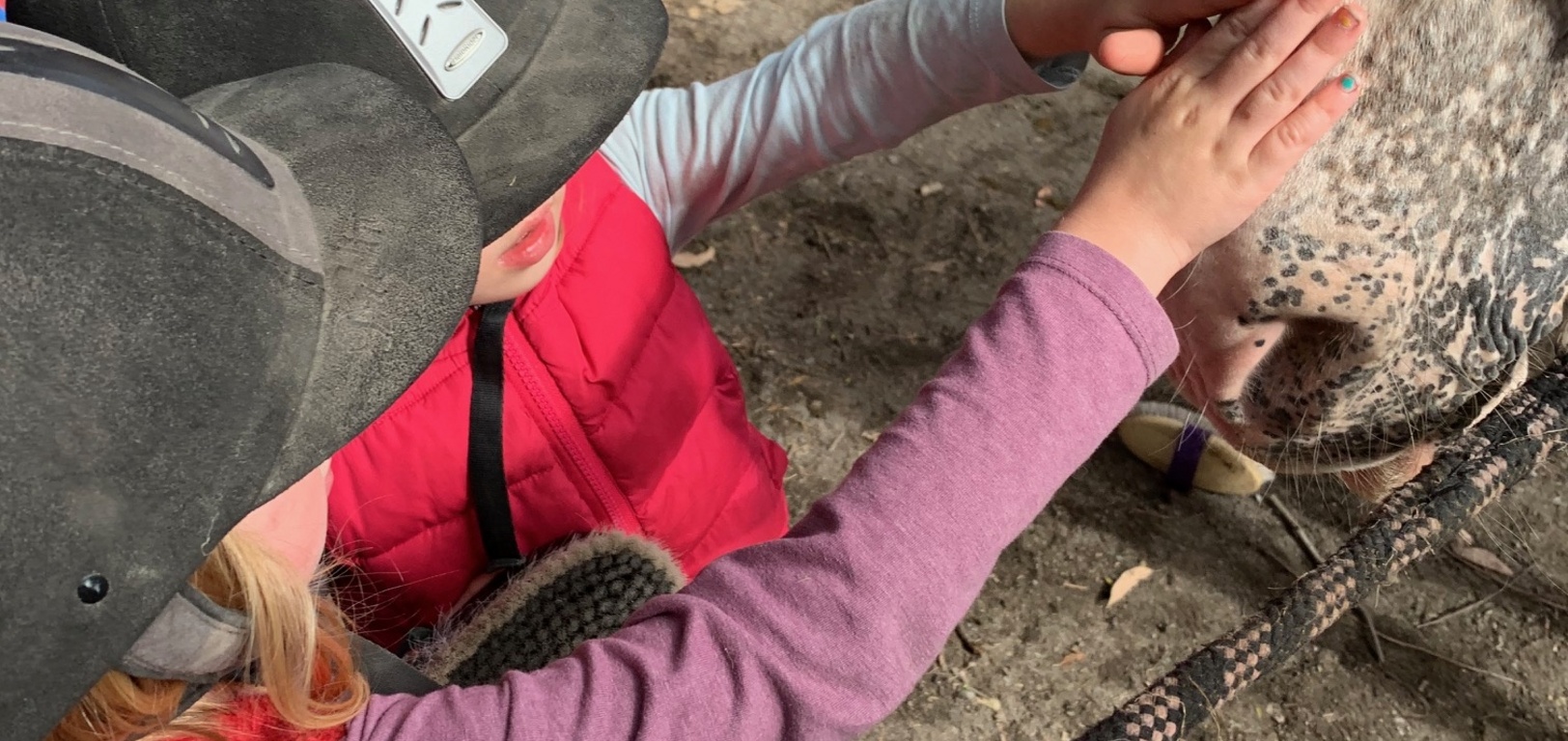 Tamariki nui was horse riding today! Iris hopped on and loved it!
