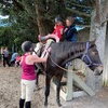 Tamariki nui was horse riding today! Iris hopped on and loved it!