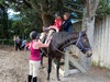 Tamariki nui was horse riding today! Iris hopped on and loved it!