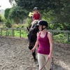 Tamariki nui was horse riding today! Iris hopped on and loved it!